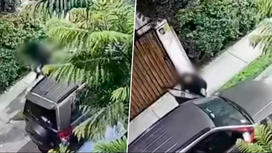 Conductor es baleado tras resistirse a portonazo en Providencia: Delincuentes utilizaron subametralladora UZI
