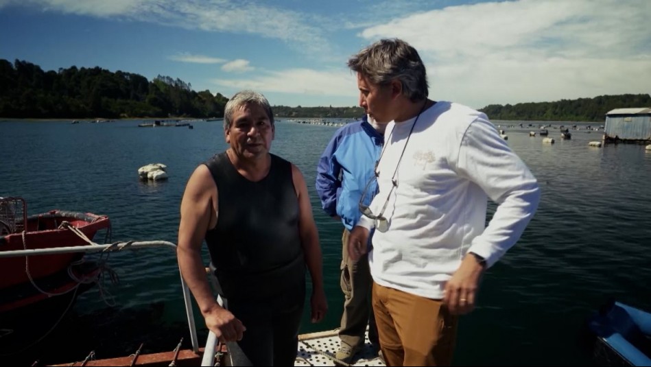 Salmones, microalgas y mariscos chilenos: Agua Viva vuelve a Mega 2 con un imperdible reestreno