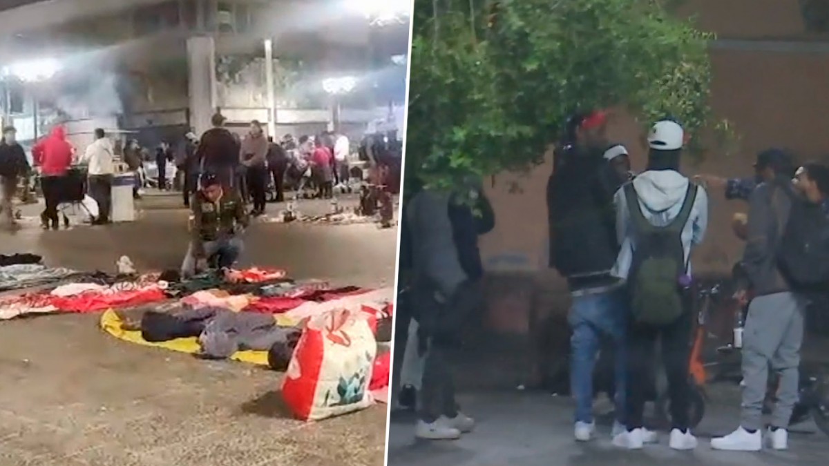 www.mega.cl