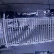 Este es el video que muestra el momento exacto en el que camión derribó tres postes de luz en Ñuñoa.