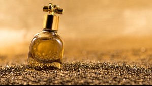 Los mejores perfumes para comprar este Cyber Day 2026 según tu estilo, presupuesto y tipo de aroma