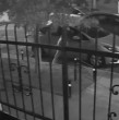 El exministro del TC Iván Aróstica y su hijo se defendieron de un violento turbazo en San Miguel.