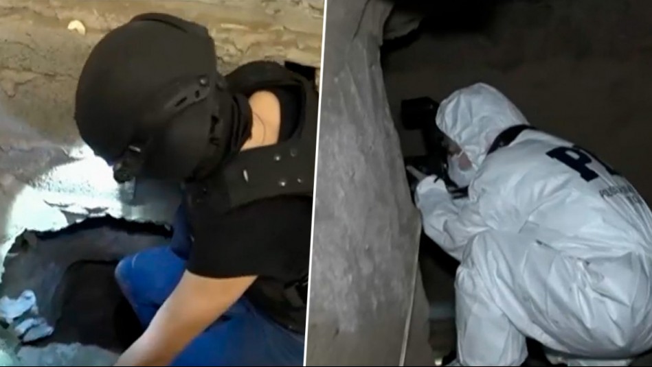 Excavaron túnel de 15 metros: Desbaratan al Sindicato del Silencio, banda que planeaba robar $40 mil millones