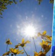 A inicios de semana se vivían algunas de las mañanas más frías en lo que va del año y este fin de semana la temperatura aumentará hasta alcanzar los 20 °C.