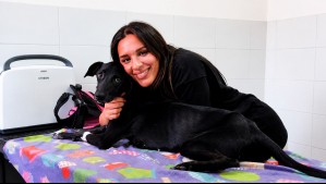 Gianella Marengo llega con Huellas por Chile: dedicado a la adopción y tenencia responsable por Mega 2