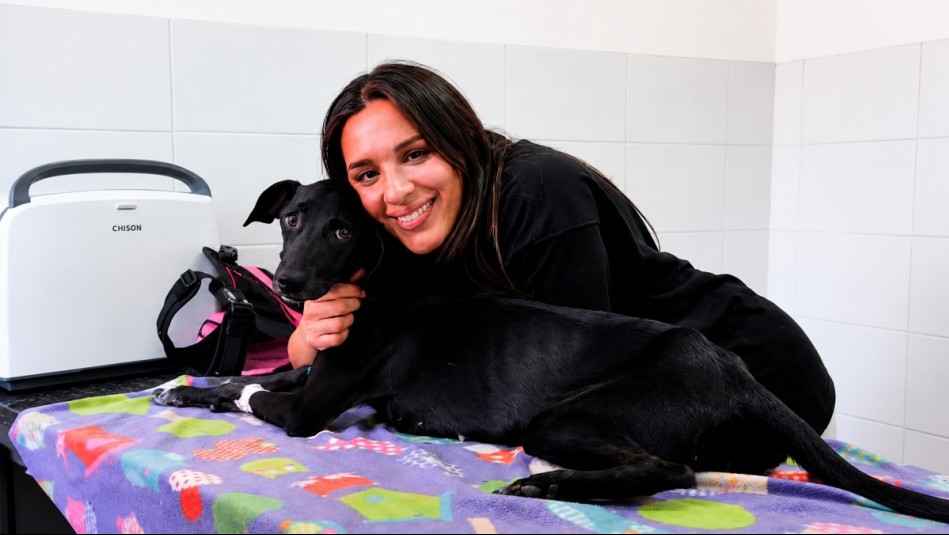 Gianella Marengo llega con Huellas por Chile: dedicado a la adopción y tenencia responsable por Mega 2