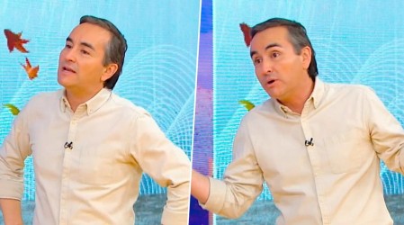 ¿Sabías de dónde viene la palabra 