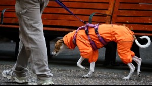 ¿A qué hora empieza a llover en Santiago? Experto adelanta el día y momento en que habrá precipitaciones