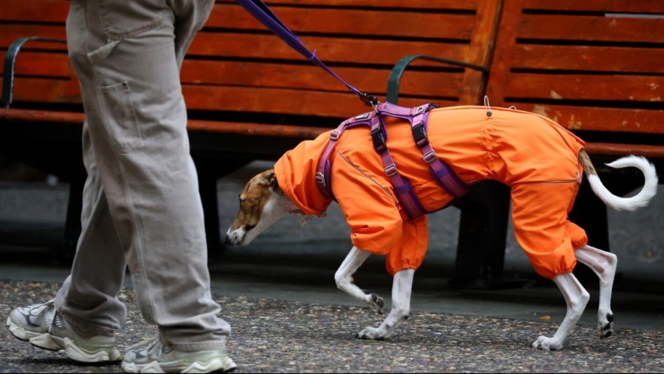 ¿A qué hora empieza a llover en Santiago? Experto adelanta el día y momento en que habrá precipitaciones