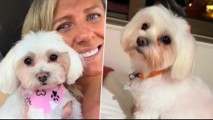 '¿Por qué así?': Maca Tondreau recuerda a su perrita fallecida en violento asalto con desgarrador mensaje