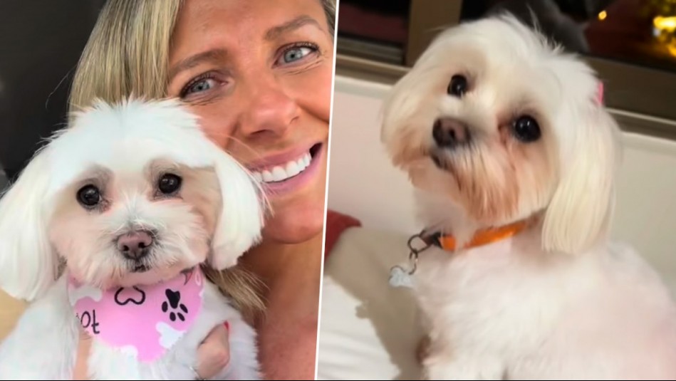 '¿Por qué así?': Maca Tondreau recuerda a su perrita fallecida en violento asalto con desgarrador mensaje