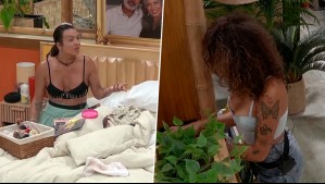 '¡Cabeza de micrófono!': Fernanda Brown bromea a Estefi Marquis por su físico y recibe feroz réplica