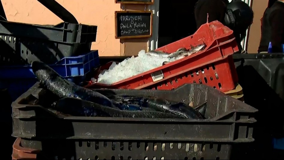 Decomisan más de mil kilos de pescados en mal estado en Mercado Central: Eran vendidos por ambulantes