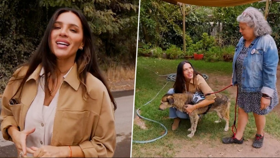 Huellas por Chile - Capítulo 3: Gianella Marengo conoce de cerca la adopción de perritos y gatitos