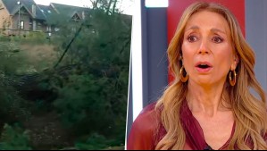 '¡Cuidado!': Este es el momento en que un árbol cae a metros de periodista en medio de fuertes rachas en Pucón