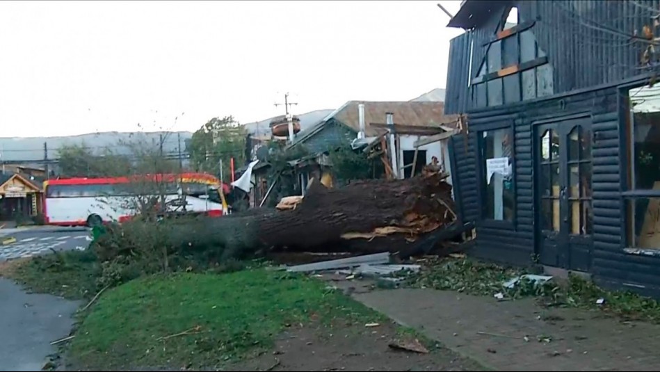 Rachas de 107 km/h causan estragos en Pucón con árboles caídos y cortes de suministro: Local quedó destruido