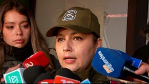 Revelan nuevos antecedentes del auto con tres perros: Encuentran cédulas con antecedentes y alcohol