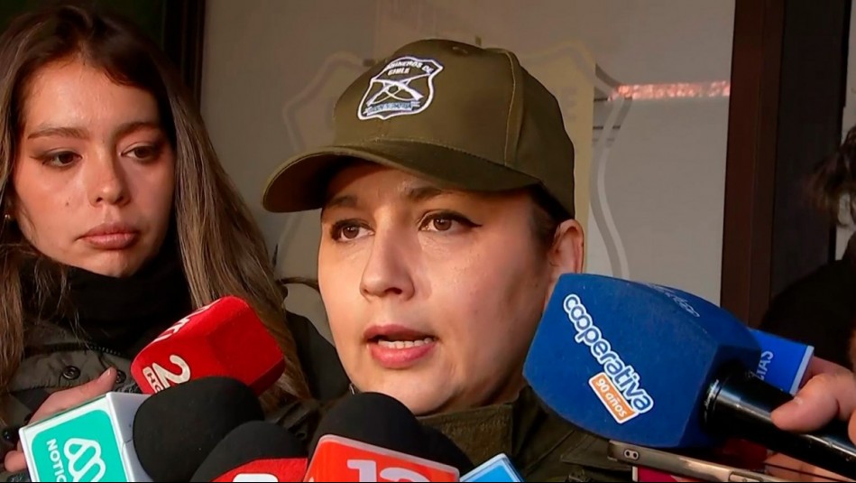 Revelan nuevos antecedentes del auto con tres perros: Encuentran cédulas con antecedentes y alcohol