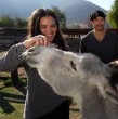 Gianella Marengo junto a su perrita Morita, llegan hasta Granja Bonsai y Fundacion Cultura Animal para conocer casos de animales rescatados como Flash, Bonsai o Cusco