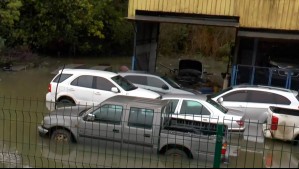 Más de una decena de vehículos quedaron bajo el agua tras inundación en Valdivia