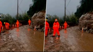 Enorme roca bloquea ruta Q-61 en Alto Biobío: Evalúan utilizar dinamita para despejar camino
