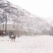 Mira acá las postales que dejó la intensa nevazón en el Cajón del Maipo.