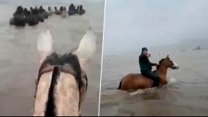 Heroico rescate: Cuatro trabajadores salvaron a 30 caballos atrapados tras inundación en Arauco