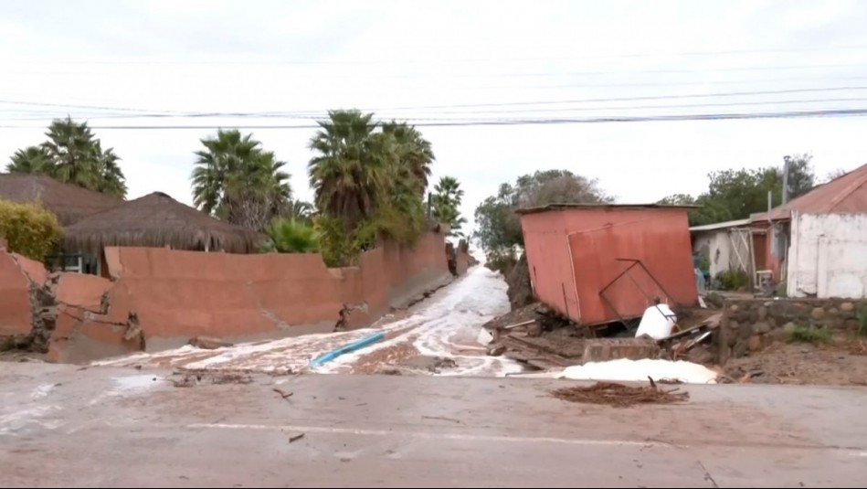 A metros de socavón: Crecida de quebrada destruye muro de casa en ruta entre Tongoy y Guanaqueros