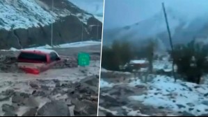 Cuidaba su ganado en la cordillera: Lo que se sabe de mujer desaparecida tras alud de nieve en Alto del Carmen