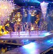 ¡Pasarelas impactantes! En la semifinal de Miss Universo Chile, las 20 candidatas deslumbraron con su desfile en traje de baño.