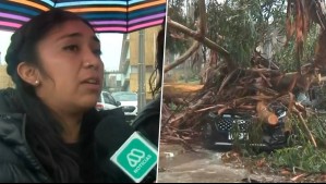 Profesora perdió su vehículo tras ser aplastado por árbol en La Serena: 'No pensé que me iba a pasar algo así'