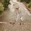 Entérate acá del duro momento que viven vecinos en Petorca, quienes deben cruzar peligrosa pasarela en mal estado para salir de sus casas.
