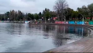 Tras seguidilla de lluvias: Playa de Villarrica desaparece bajo el agua tras aumento en el nivel del lago