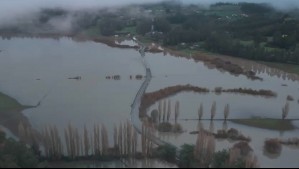 Más de 4.500 personas afectadas: Desborde del río Imperial deja miles de hectáreas bajo el agua en Carahue