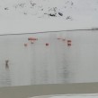 Mira acá el impresionante espectáculo de la naturaleza que sorprende en Machuca.