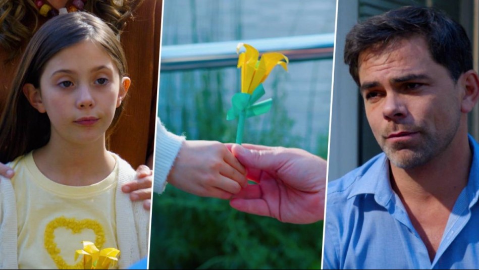 Llegó con una flor de amancay: Conoce la historia del regalo de Olivia para que Diana se recupere en EJDO