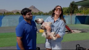 Huellas por Chile - Capítulo 10: Gianella Marengo conoce innovadores espacios pet friendly
