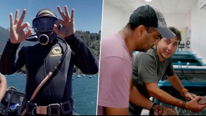 El mar chileno vuelve a ser protagonista: Agua Viva regresa con nueva temporada por Mega 2