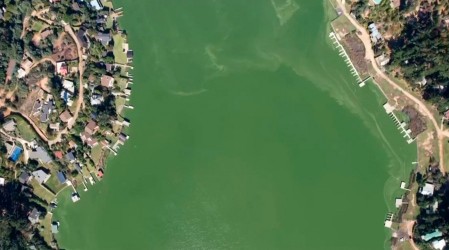 Contraloría alerta por deterioro de Lago Vichuquén: Ordenó reforzar su protección ambiental