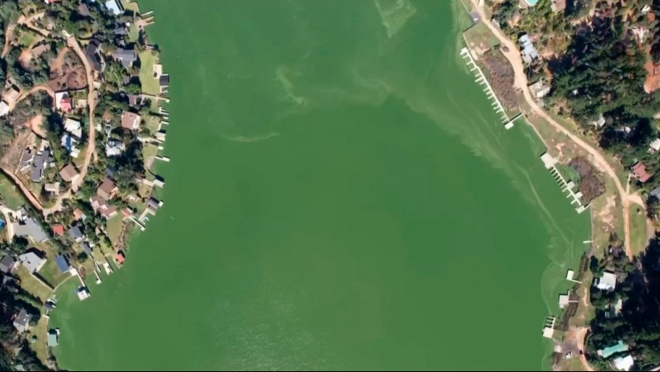 Contraloría alerta por deterioro de Lago Vichuquén: Ordenó reforzar su protección ambiental