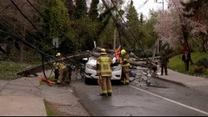 Árbol derriba seis postes y un transformador cae sobre vehículo en Vitacura: Conductor quedó atrapado