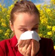 Revisa acá los consejos para combatir la alergia.