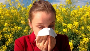 Alergias de primavera se adelantan por el clima: Experta entrega consejos para combatirlas y no fracasar