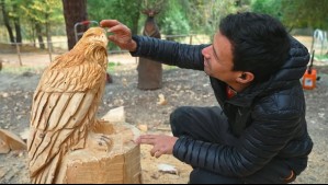 Orgullo Nacional - Capítulo 2: Chapu descubre el arte del tallado en motosierra