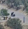 Entérate acá de las situaciones que preocupan en el Parque Metropolitno.