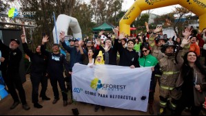 Reforest Running y Megamedia cumplen su compromiso de reforestar Viña