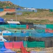 La Fiesta de La Pampilla está a solo días de dar el vamos a uno de los eventos más esperados en el norte de Chile y que tendrá transmisión exclusiva de Mega.