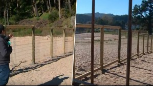 La cortaron por la mitad: Polémica por cerca perimetral en playa Pingueral que cierra paso al público