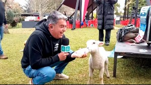 'Les tengo que dar la papa': Germán Valenzuela cambió el micrófono por una mamadera en tierno momento