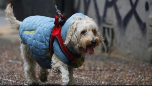 ¡A no guardar el paraguas! Advierten posible regreso de lluvia para este día en Santiago
